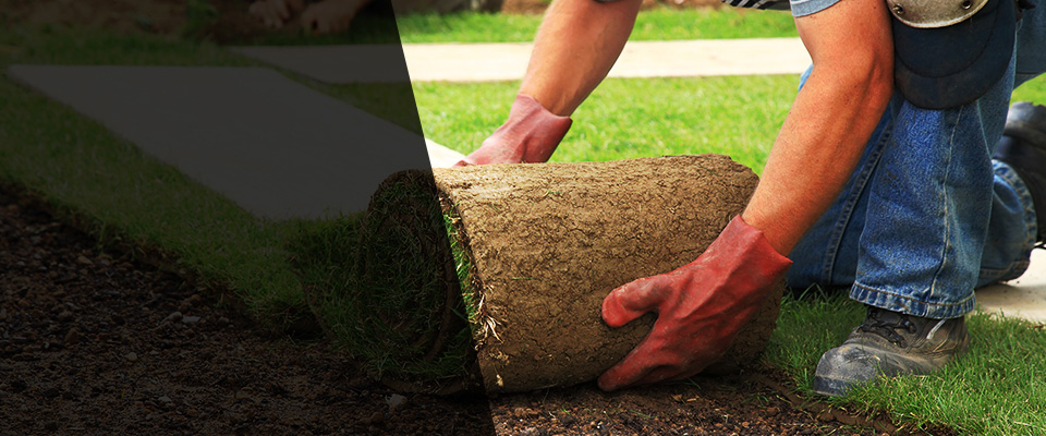 Emerald Isle Landscapers